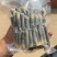 新鲜头茬乌米