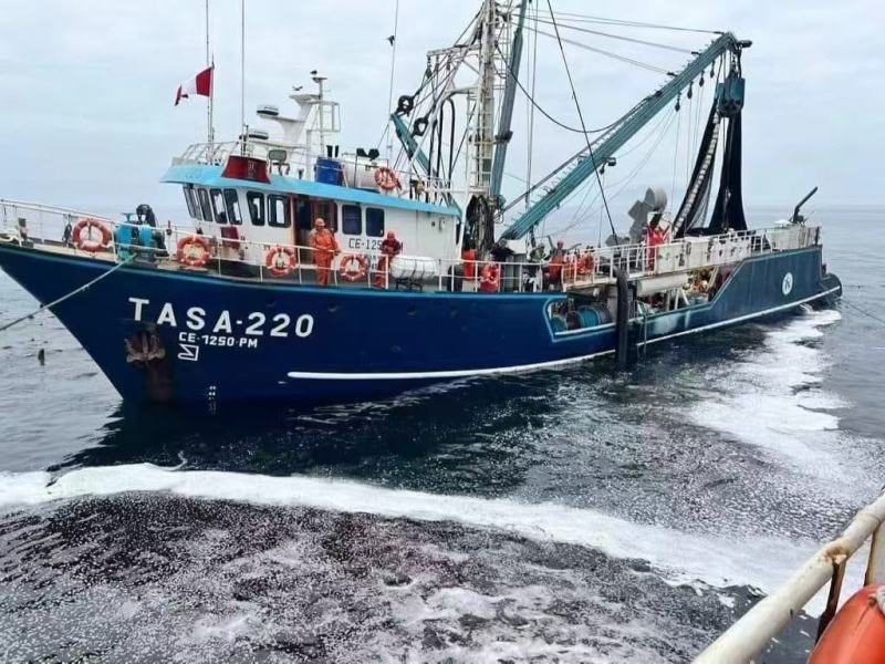 【热卖】深海鱼油智利进口高双A，质量保证货量充足！