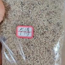 进口芝麻乍得芝麻芝麻酱火锅酱料