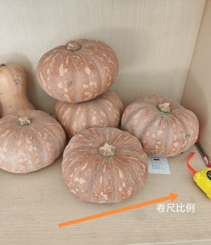 圆蜜南瓜一款北上广够用的优质南瓜口感超赞