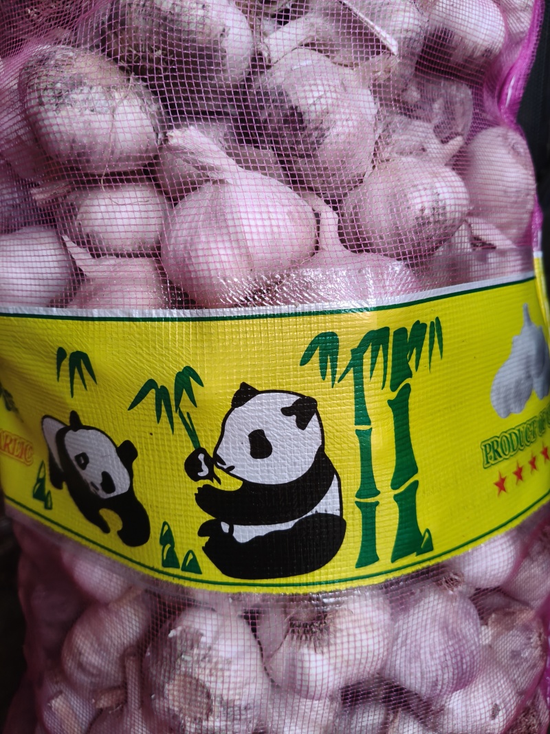 河南大蒜热受销完