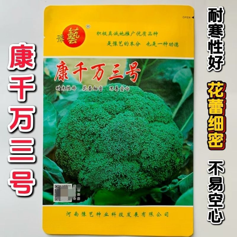 康千万三号西兰花种子耐寒青菜花种子耐寒秋播西蓝花种子