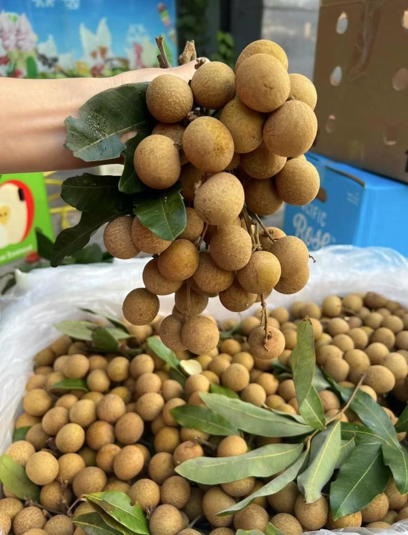 石硖龙眼，皮薄，肉厚爽脆清甜