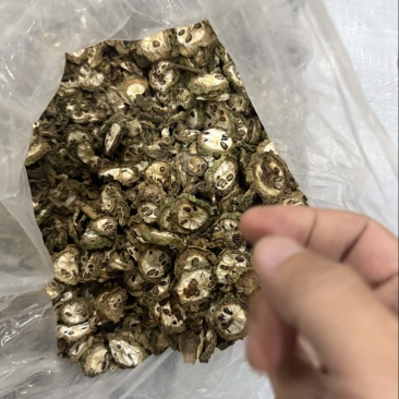 八月瓜干品，八月炸干品