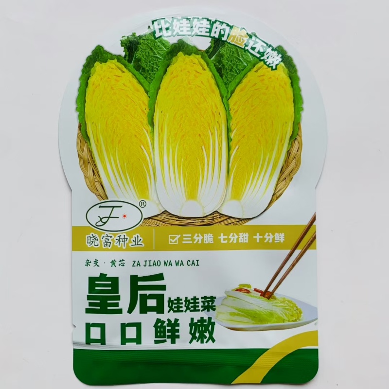皇后娃娃菜种子小株型白菜种子黄心娃娃菜种子原装蔬菜种子
