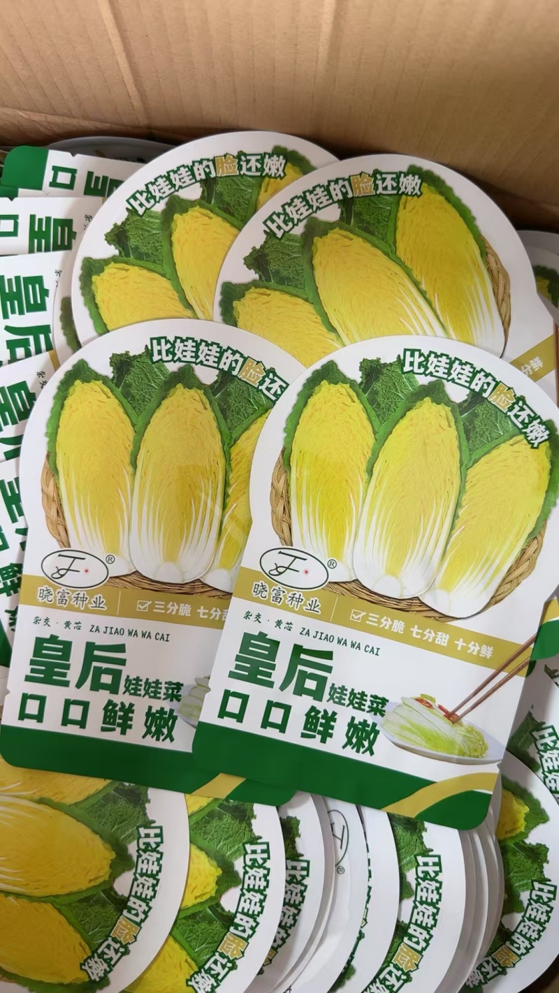 皇后娃娃菜种子小株型白菜种子黄心娃娃菜种子原装蔬菜种子