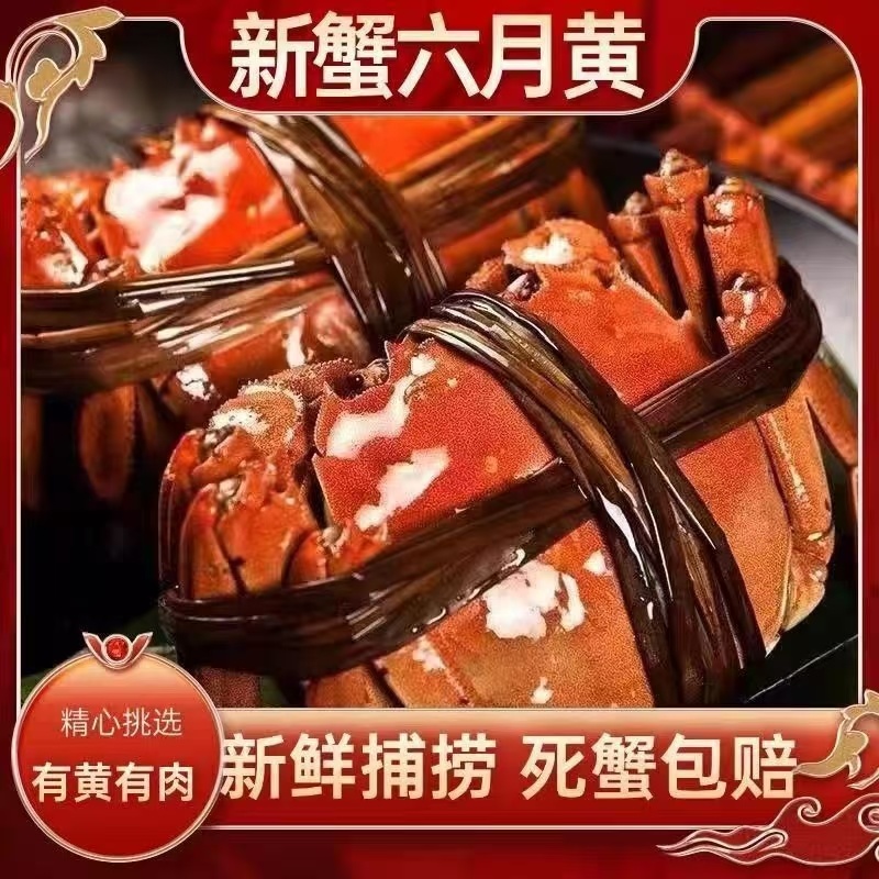 六月黄螃蟹