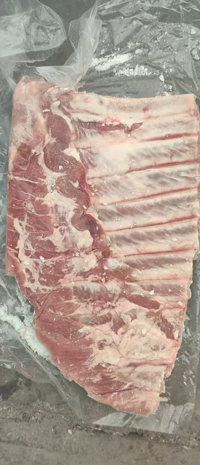 肥猪肋排10kg4-6片10吨