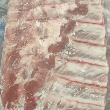肥猪肋排10kg4-6片10吨