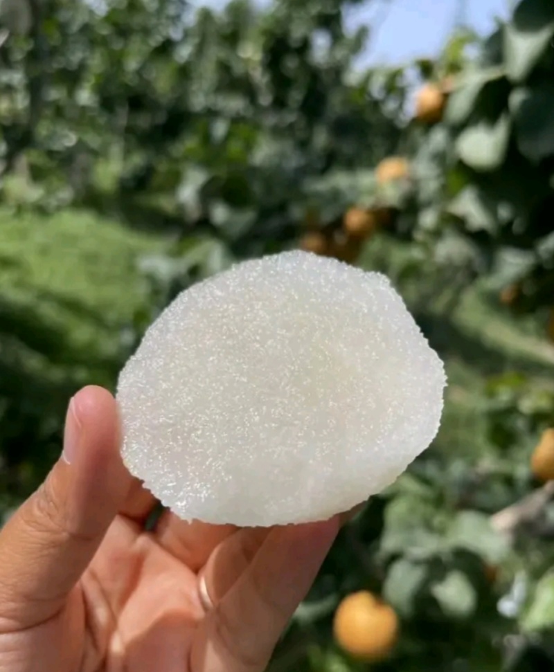 山东丰水梨大量上市，皮薄脆甜爽口多汁，含糖量高，货源充足