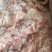 云皮肉