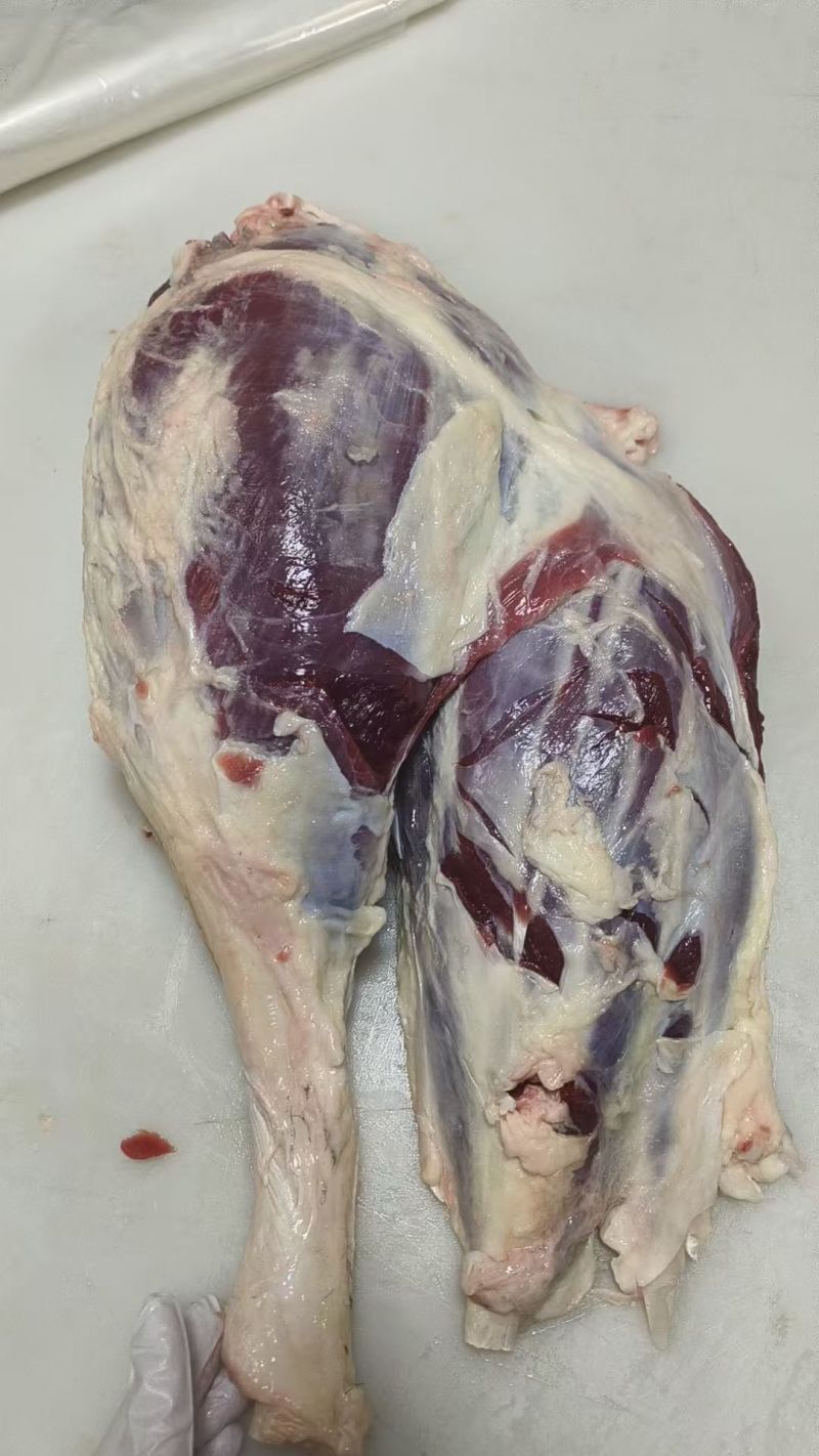 牛后腱