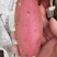 【正宗烟薯】山东聊城烟薯支持一件代发诚信经营