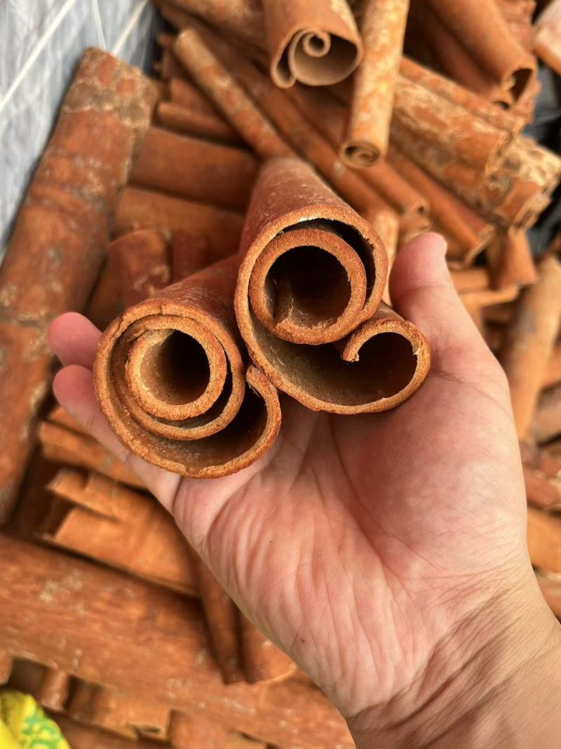广西肉桂去皮桂皮规格齐全量大价优欢迎咨询下