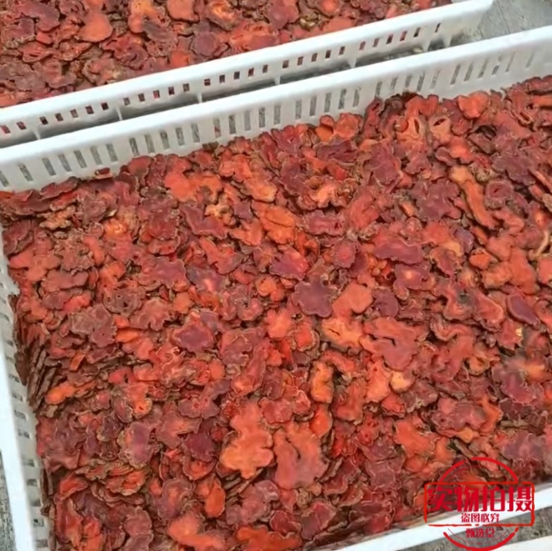 朱砂莲切片