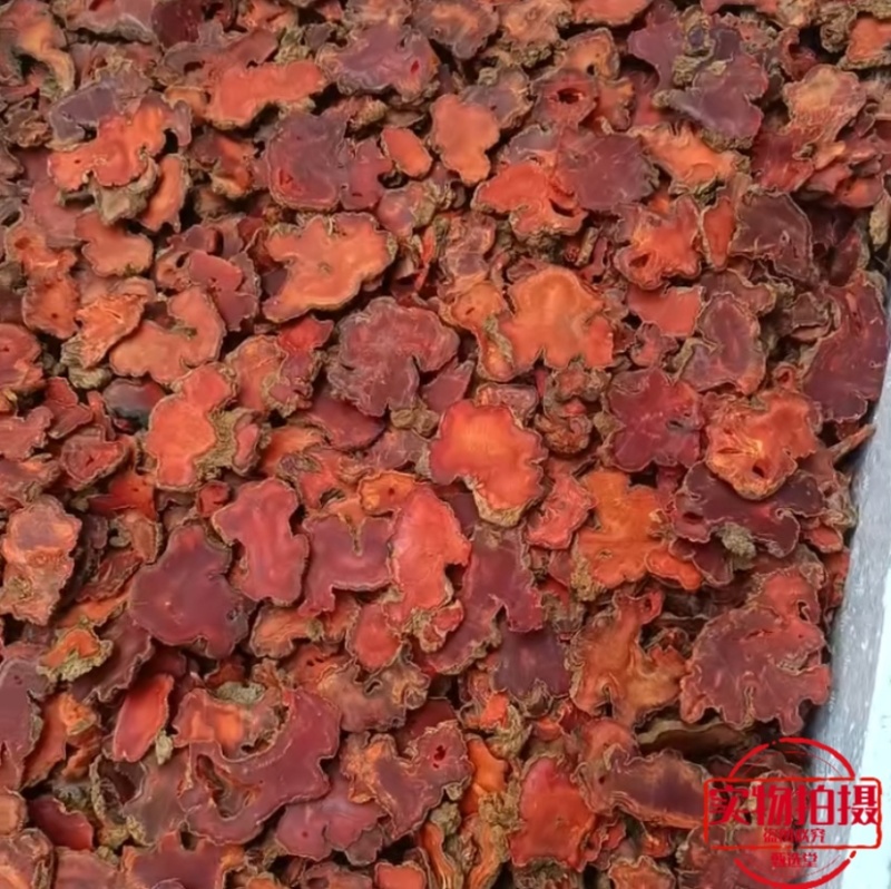 朱砂莲切片
