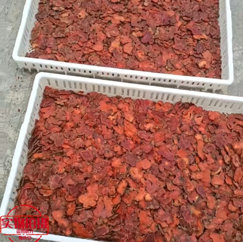 朱砂莲切片