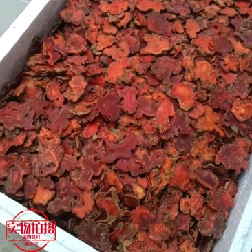 朱砂莲切片