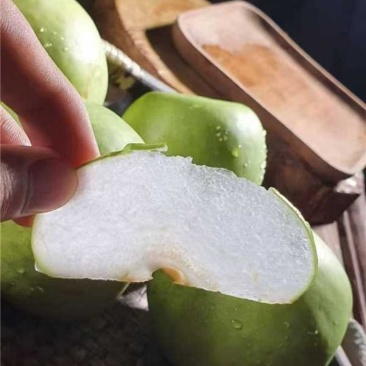 青皇冠梨口感脆甜大量有货全国通发产地直销