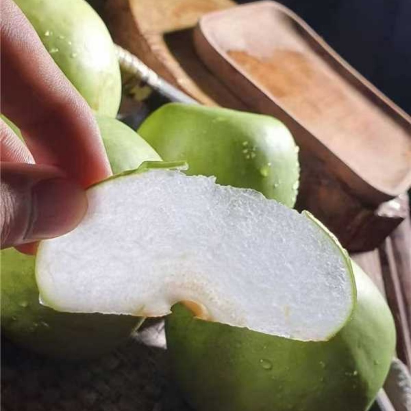 青皇冠梨口感脆甜大量有货全国通发产地直销