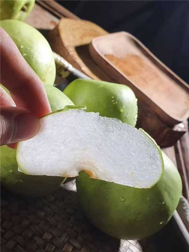 青皇冠梨口感脆甜大量有货全国通发产地直销
