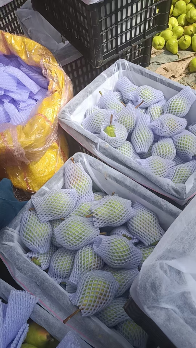 香蕉梨