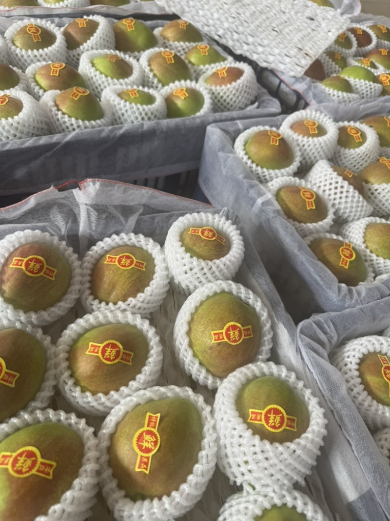 新梨7号皮薄肉嫩果面干净糖度15个以上河北产区直发
