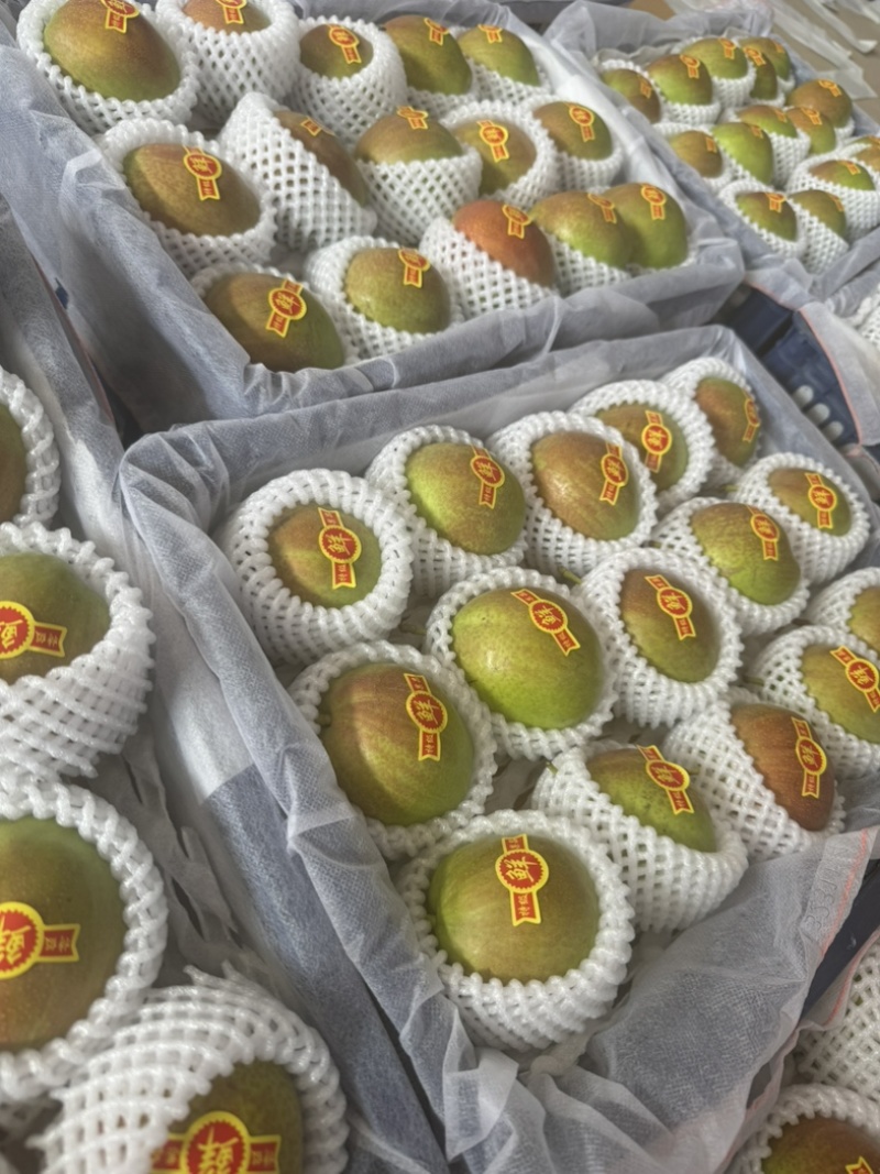 新梨7号皮薄肉嫩果面干净糖度15个以上河北产区直发