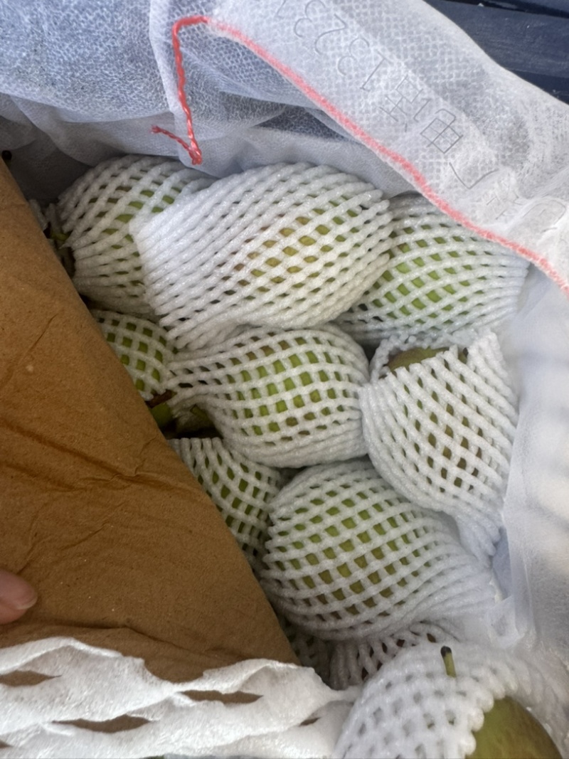 新梨7号皮薄肉嫩果面干净糖度15个以上河北产区直发