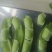 大棚毛豆大量上市