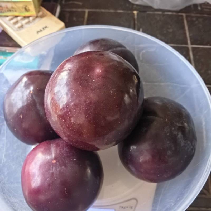 好吃不贵黑布林李子，大量有货，口感酸甜，发货全国