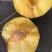 好吃不贵黑布林李子，大量有货，口感酸甜，发货全国