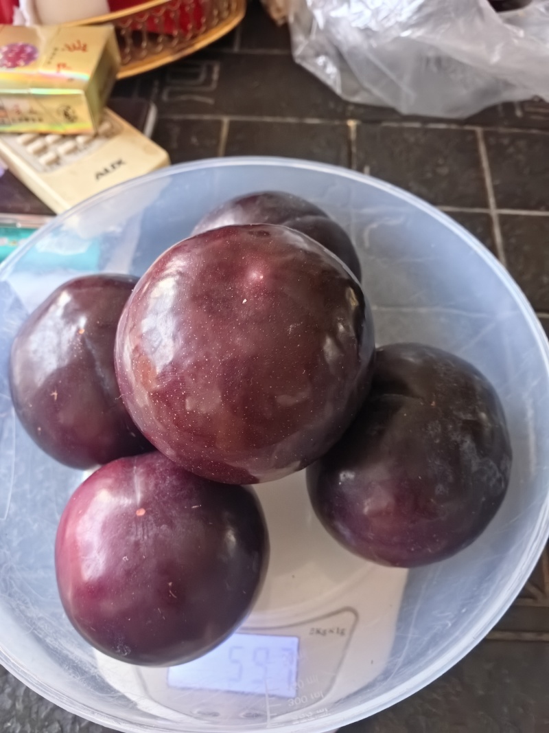 好吃不贵黑布林李子，大量有货，口感酸甜，发货全国
