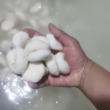 全国带泥毛马蹄带泥，去皮马蹄精品。