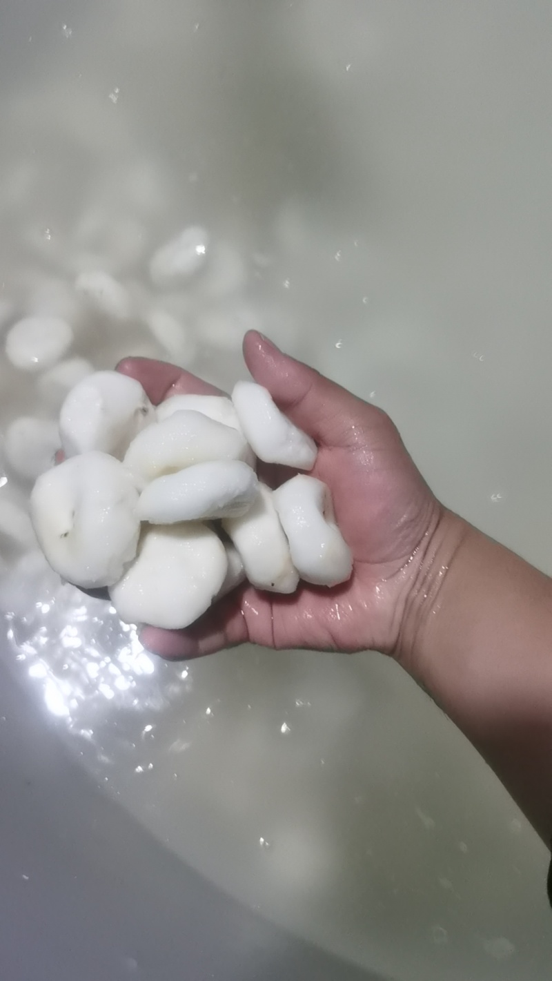 全国带泥毛马蹄带泥，去皮马蹄精品。