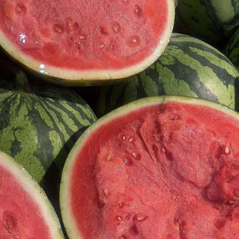 蜜汁西瓜🍉清甜解渴脆口无籽，放心大口的吃，个个大瓜