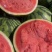 蜜汁西瓜🍉清甜解渴脆口无籽，放心大口的吃，个个大瓜