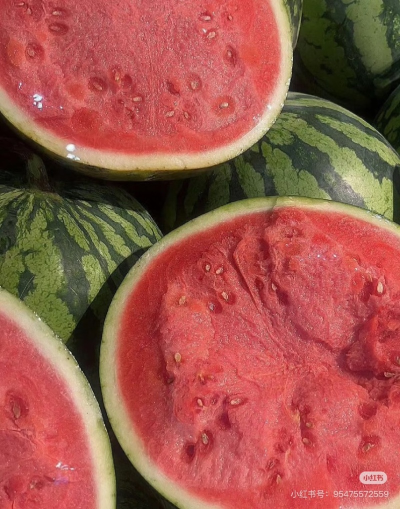 蜜汁西瓜🍉清甜解渴脆口无籽，放心大口的吃，个个大瓜