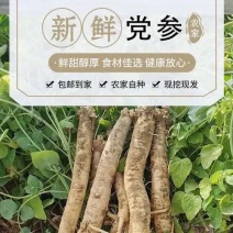 板党鲜货统货