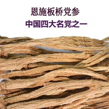 干党参