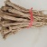 干党参