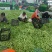 精品油豆角产地直销一手货源品质保证欢迎进店选购