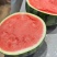 蜜汁西瓜🍉清甜解渴脆口无籽，放心大口的吃，个个大瓜
