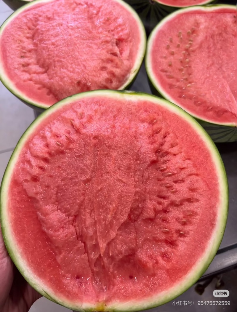 蜜汁西瓜🍉清甜解渴脆口无籽，放心大口的吃，个个大瓜