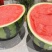 蜜汁西瓜🍉清甜解渴脆口无籽，放心大口的吃，个个大瓜