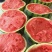 蜜汁西瓜🍉清甜解渴脆口无籽，放心大口的吃，个个大瓜