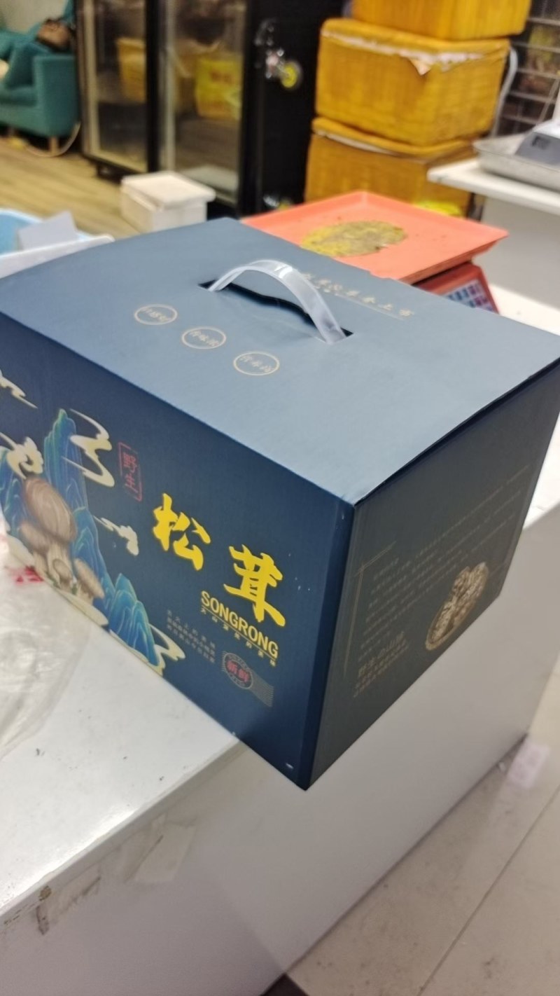 川西高原野生鲜松茸未开伞5-7cm精品，支持一件代发