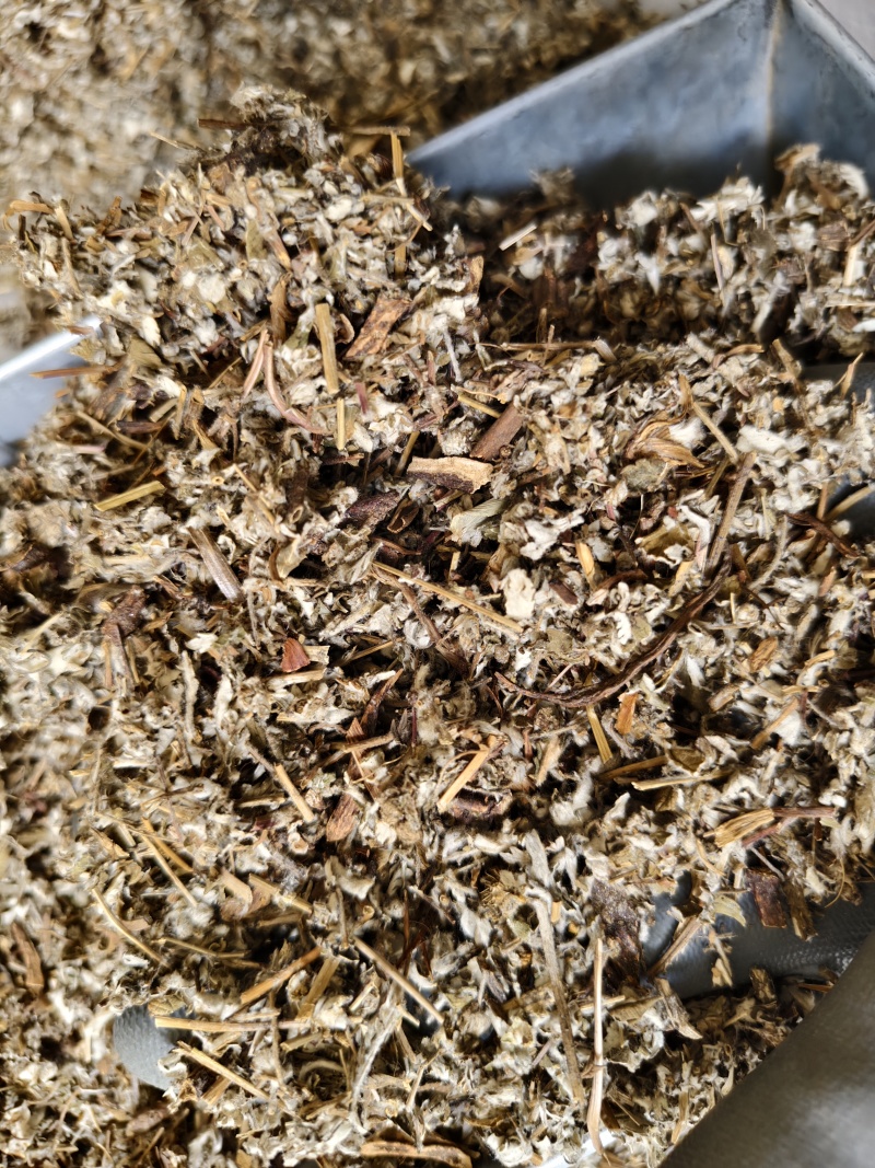 翻白草正品新货翻白草批发零售