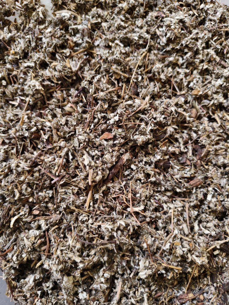翻白草正品新货翻白草批发零售