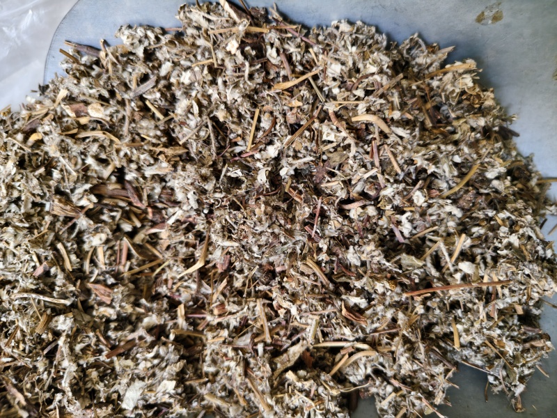 翻白草正品新货翻白草批发零售